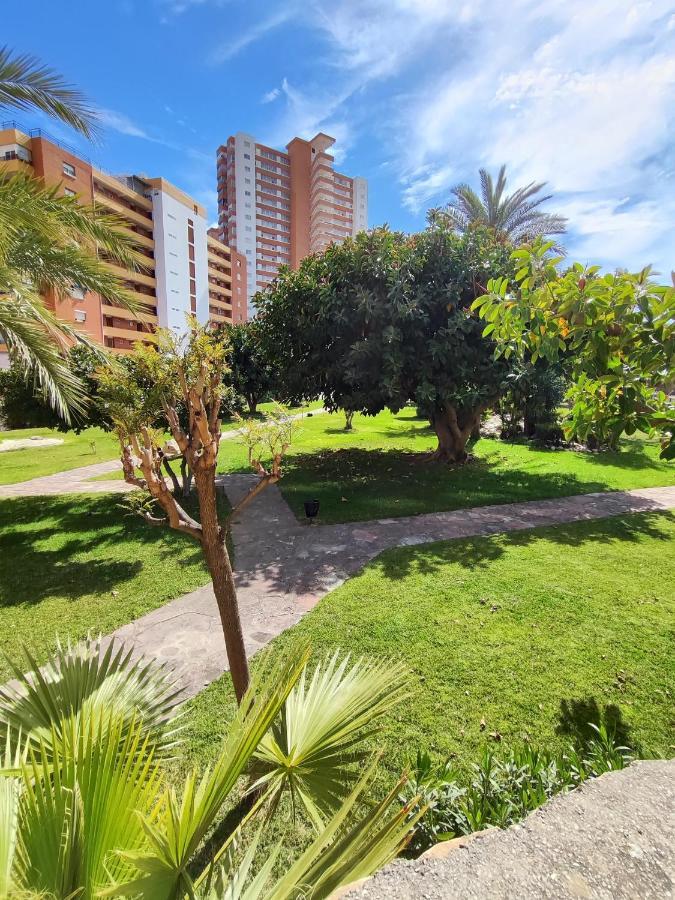 Apartamento Costa De Poniente Бенидорм Екстериор снимка